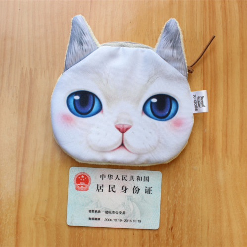 cartoon wallet