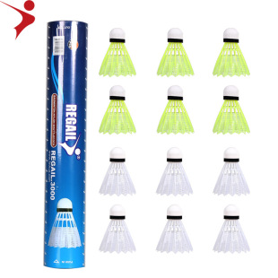 Regail��������ë��12��Ͱ�b ZBQ-3000��ë�� �ʘ���ɫ�Sɫ��ë��