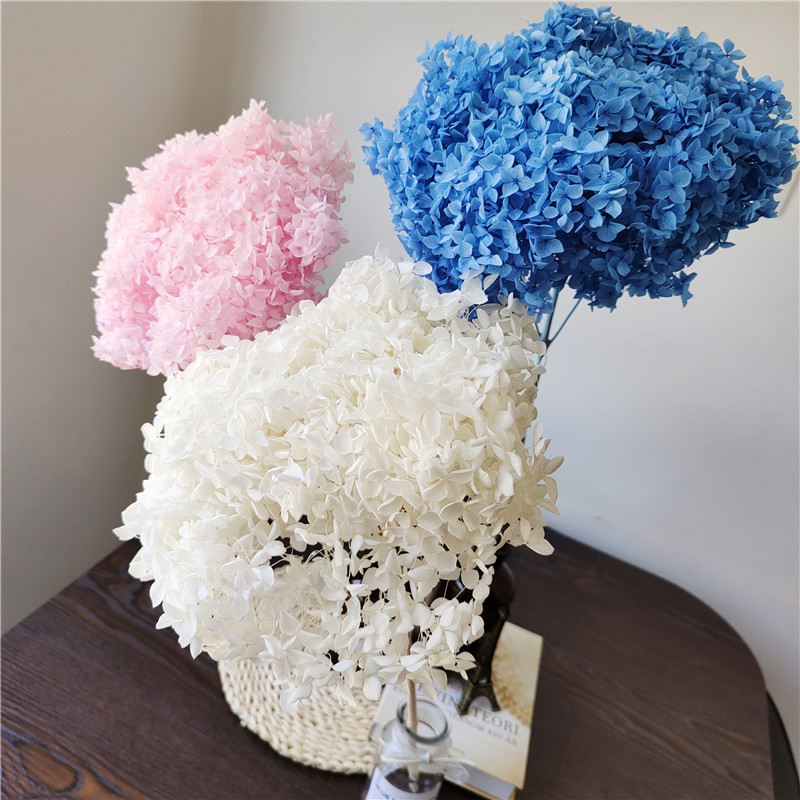 Yunnan Eternal Flower Wholesale with Pole Whole Single Anna Small Leaf Hydrangea Home Flower Arrangement Decorative Bouquet Hydrangea