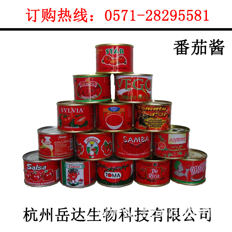 28%番茄罐头食品番茄酱专用调味品口味多种包装 厂家批发 出口