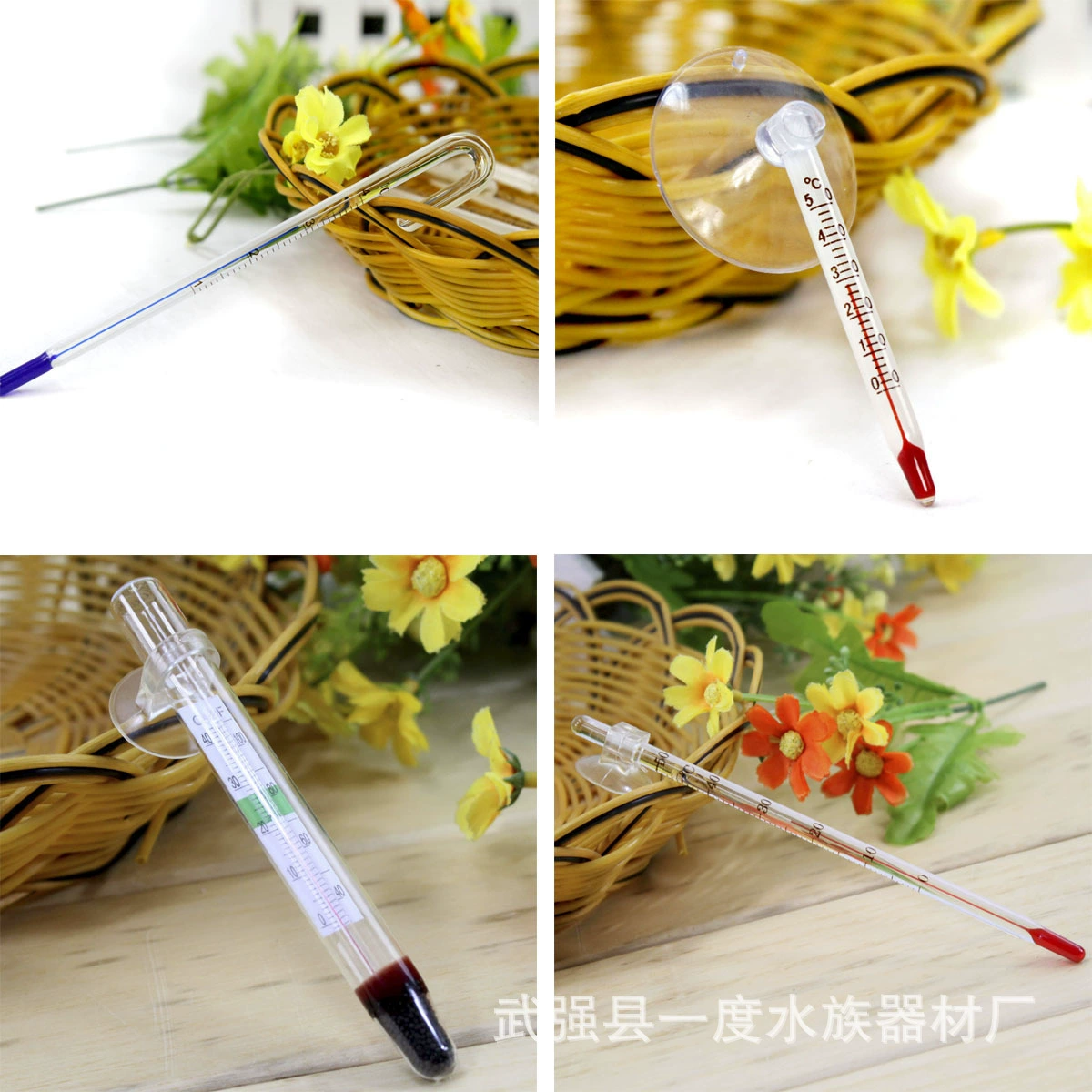 Thermometer, glass aquarium