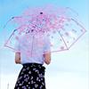 Little daisy automatic umbrella transparent umbrella simple PVC umbrella goddess Japanese folding student umbrella can add logo