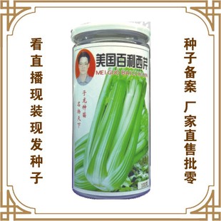 �۲˷N�ӏS���T����ֱ�����������ش����ļ��Nֲ ���@��������