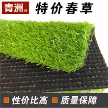  ؃rƺ ƺ ٲƺ ٲƤ SҸԃr 