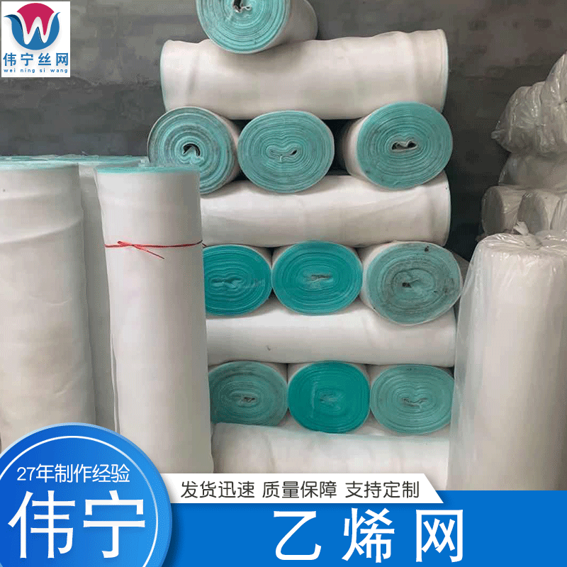 定 制温室养殖防虫网乙烯网加厚加密塑料乙烯窗纱网蔬菜大棚网