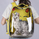 Factory direct supply cat bag breathable pet bag out carrying bag transparent space bag pet car wholesale