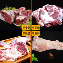 达生源 内蒙古生羊腿肉鲜羊肉新鲜整只羊小腿羊后腿内蒙古羔羊肉