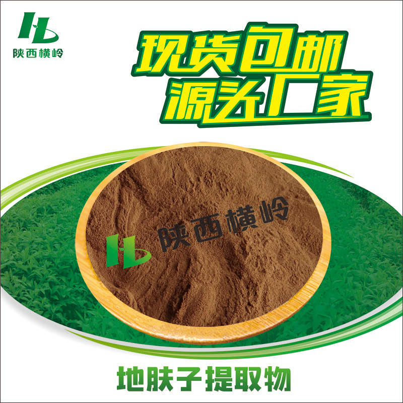 地肤子粉 50:1地肤子提取物 含地肤子皂甙 横岭现货 1KG起订 水溶