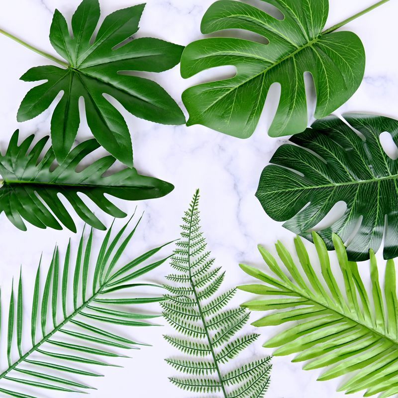 Korean ins minimalist simulation tropical plant tree leaves photography background food decoration props