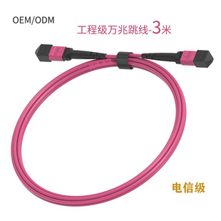 MPO���w����MTP���wOM4�f������100G����������ģ��ģ8о12о