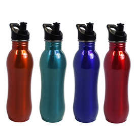 厂家定制单层304不锈钢水杯弧形提手运动水瓶带吸管PP吸嘴盖子