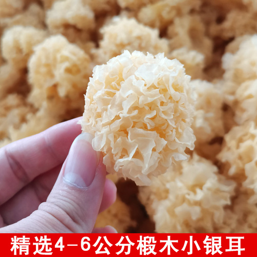 Tremella Fuciformis Small Tremella White Ear Wood-Fired Snow Ear No Sulfur High Collagen 500g for Pregnant Women