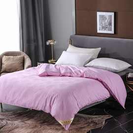 产地货源 提花蚕丝被床上用品批发 秋冬被芯大豆被子春秋被蚕丝被