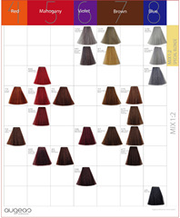 Factory wholesale trendy hair dye cream salon hair colorist dyeing agent beauty hair product single tube dye with color plate template