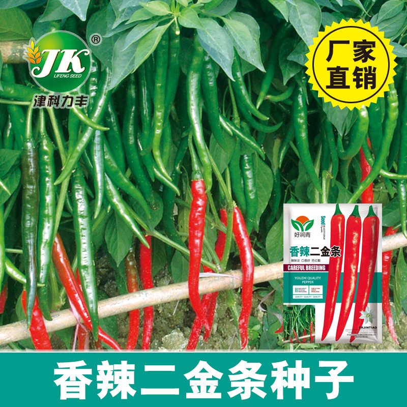 Manufacturer Wholesale Spicy Two Gold Strips Pepper Seeds Two Wattle Strips Red Pepper Chopped Pepper Vegetable Seed Company Vegetable Seeds