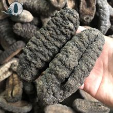 ���l��ѥ�����_�Tѥ��ѩ�������ڵ���8�^�l���� �Ƶ���ϯ����