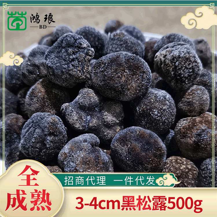 云南特产速冻黑松露3-4cm散装500g产地批发块菌食用菌菇产地直供