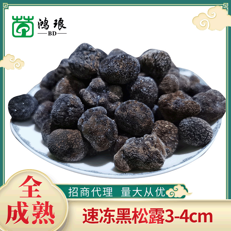 成熟黑松露3-4cm散装1000g云南菌菇干货批发块菌猪拱菌云南产地