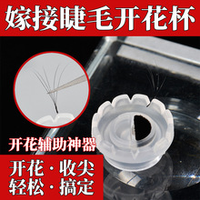 ޽ӽë_һ_zˮָ̫_ɽ軨޹