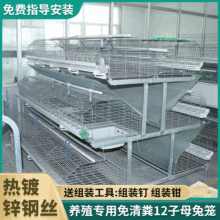 加粗养殖兔子笼 免清粪12笼子母兔笼 批发大型养殖场镀锌饲养笼