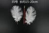 15-20 cm ostrich hairy single root
