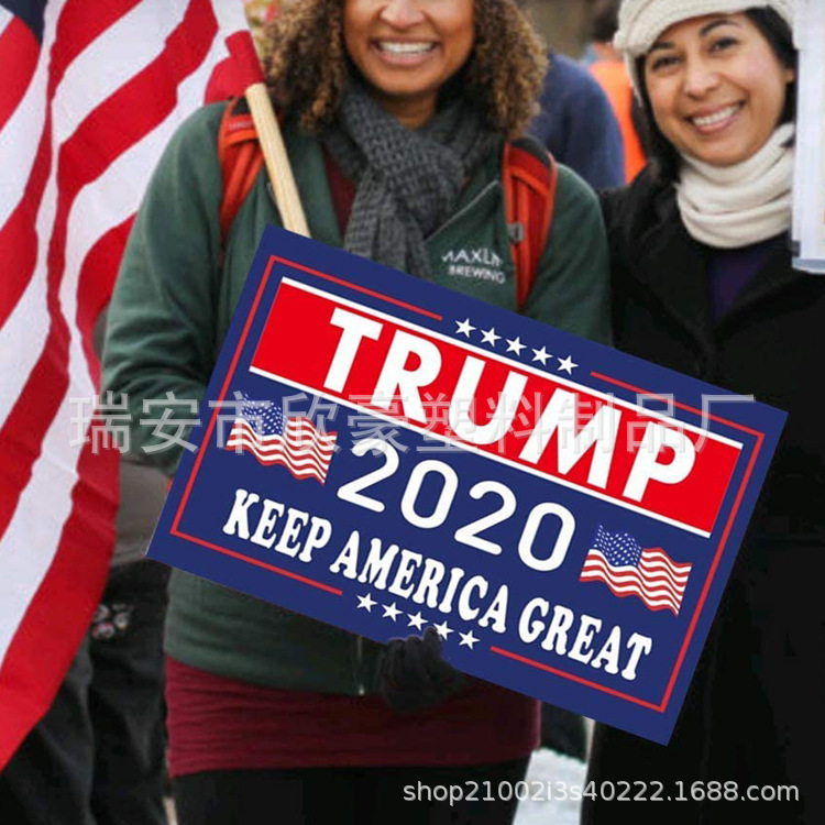 2025 Political Campaign Rally美国总统选举牌 庭院标志草坪插牌