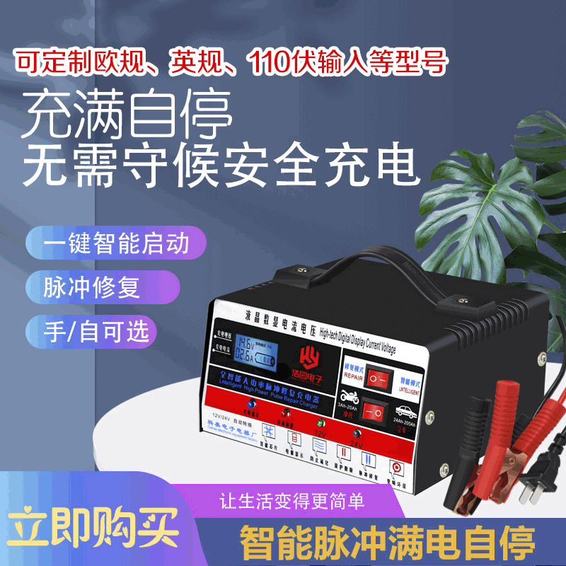 12V24V polymer Charger car battery motorcycle battery charger electric car battery repair device