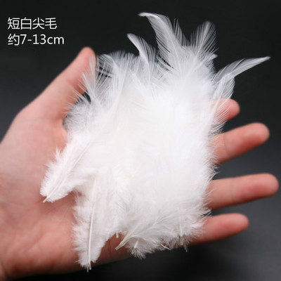 흰색 팁 4-6개, 색상당 50개부터 시작