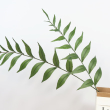 lGֲLӰ~ ֲcXȻ WsҾb[