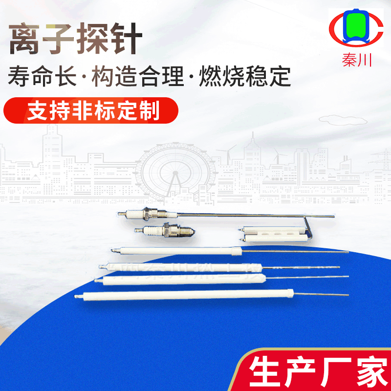 厂家供应工业离子探针 带检测杆离子探针  秦川热工离子探针