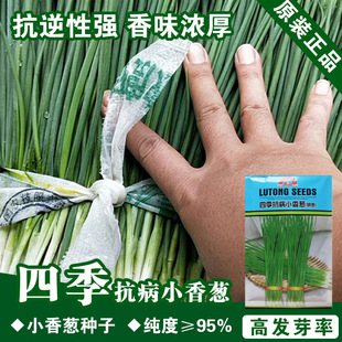 �ļ�С���[�N��С���[���ļ��ɷN�߲˷N��С�[�N�ӱ��㴺�ﶬ����