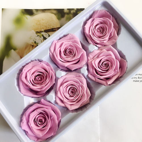 Magic flower immortal flower B grade 5-6 rose flower material unicorn dried flower wholesale glass cover diy rose bear material