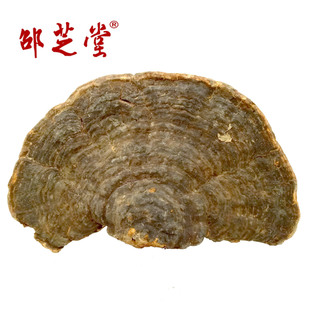 ����r���Բ� ���`֥ ����֥ ƽ�w�����f��ަ�����֥�ǷNֱֲ�N