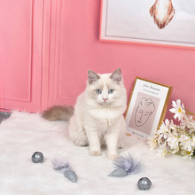 厂家直销TPR新款猫咪玩具 高仿老鼠球 铃铛羽毛逗猫玩具 一件代发