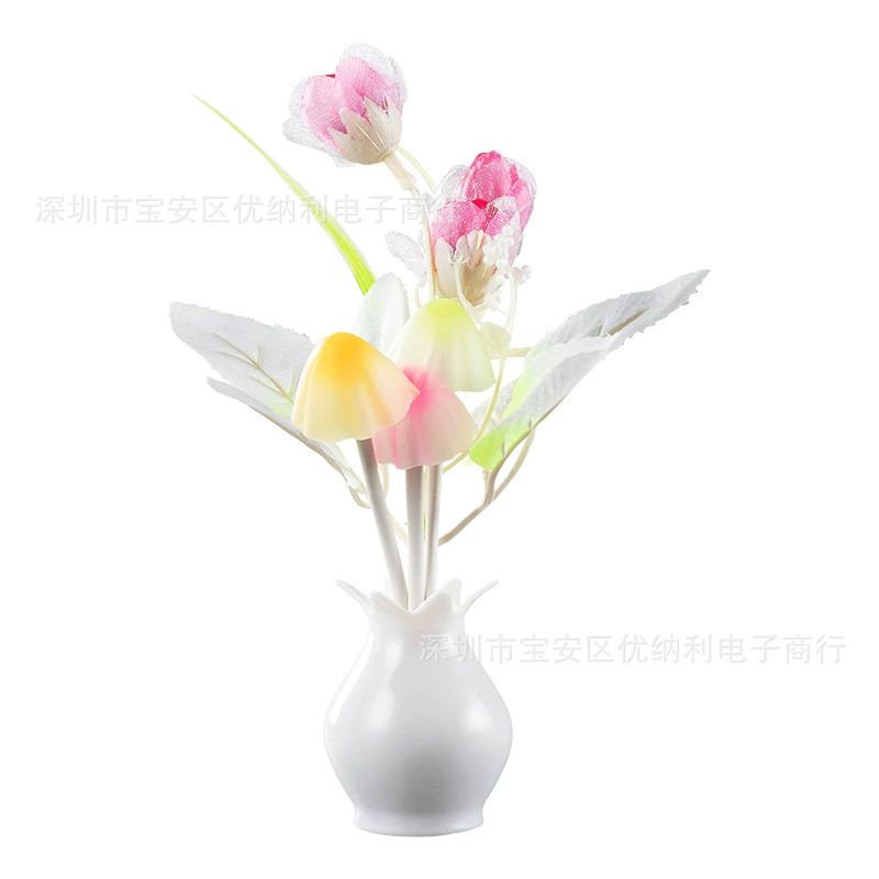 Energy-saving induction LED night light, lamp, sconce