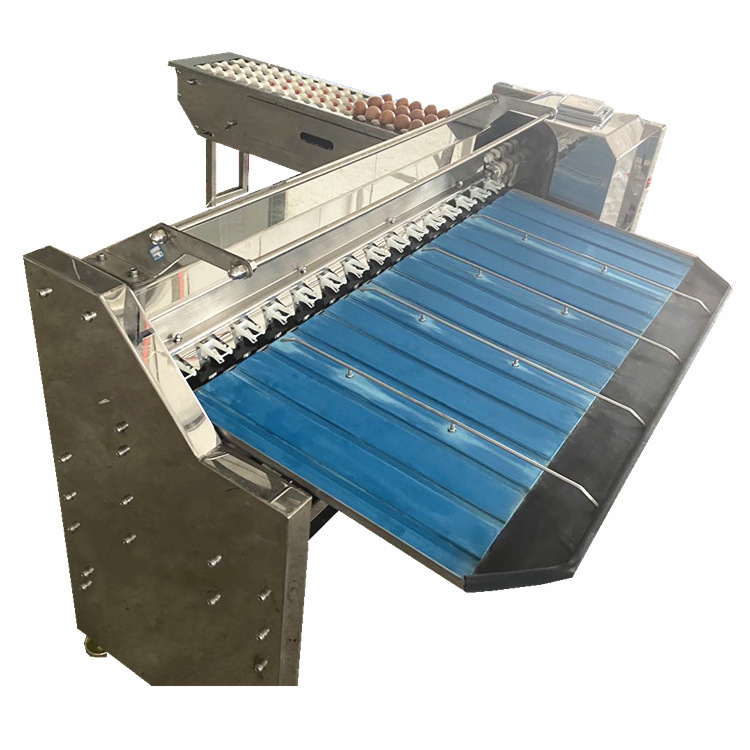 máquina de clasificación de huevo huevo pato huevo equipo de clasificación automática de tamaño