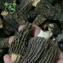 银耳;香菇;猴头菇