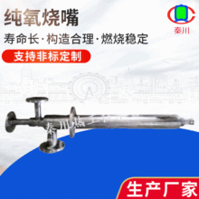 加热炉钢厂富氧燃烧器 回转窑烧嘴改造设备 天然气液化气燃烧器