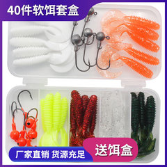 40 pieces of soft bait and worm lure set with bare color painted lead head hooks, delivered in a transparent five-grid box, factory wholesale kit