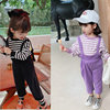 Set, T-shirt, autumn overall, long sleeve, for 3-8 years old