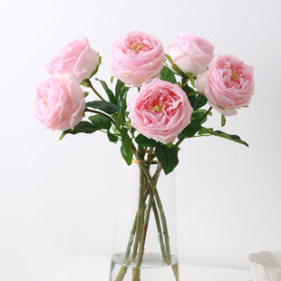 Hand-feel moisturizing rose ins style simulation bouquet photo props curled tea rose Austin rose simulation flower