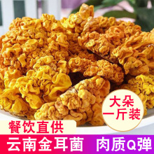 金耳云南金耳干金耳2026新货黄金耳食用菌大朵清炖干货煲汤食材