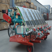 2025�¿�ˮ������C �Nֲ�C ��ˮ���C ˮ���Nֲ�C���зNֲˮ���C