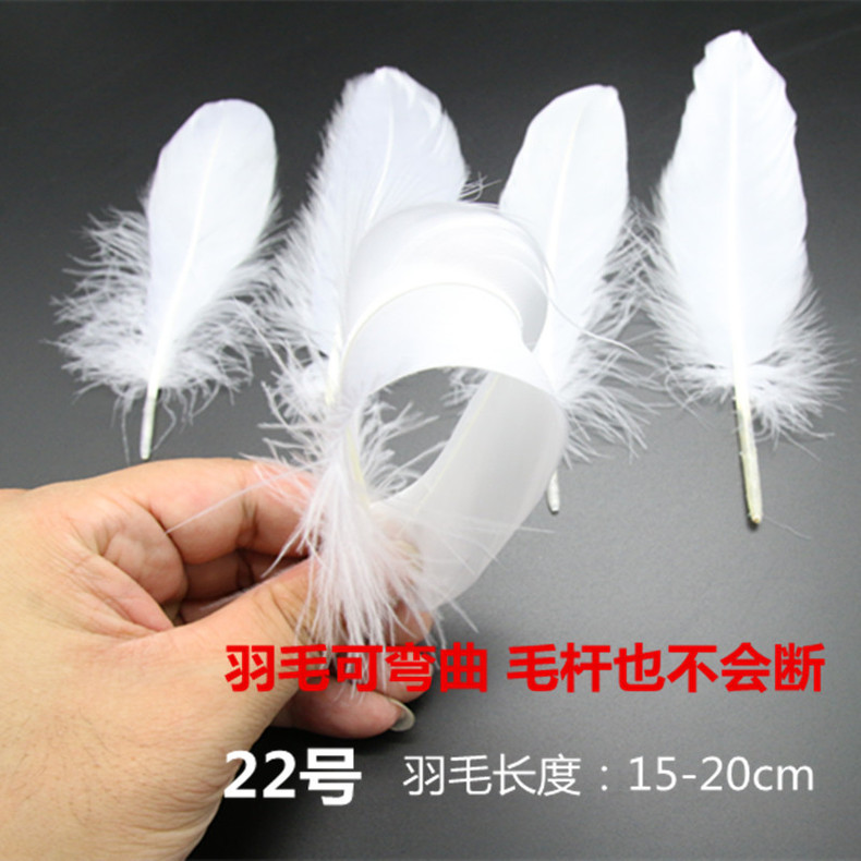 딱딱한 뼈 절단, 색상당 20개부터 시작