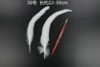 A color of a white tail is shot in 20 roots