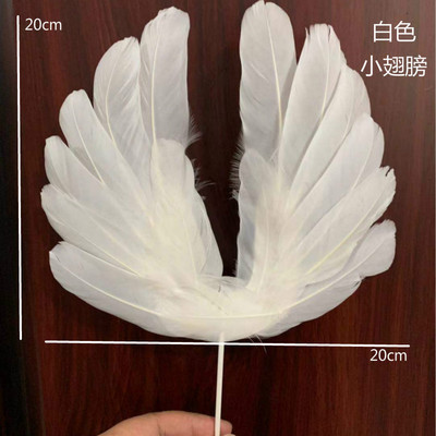 작은 흰색 날개