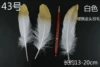 A color of a color of white hard golden head is raised by 50 roots
