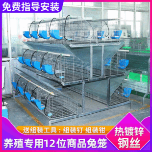 ���lȫ������S12λ��Ʒ�Bֳ�û\ ��\��ĸ�û\����3����ĸ�û\