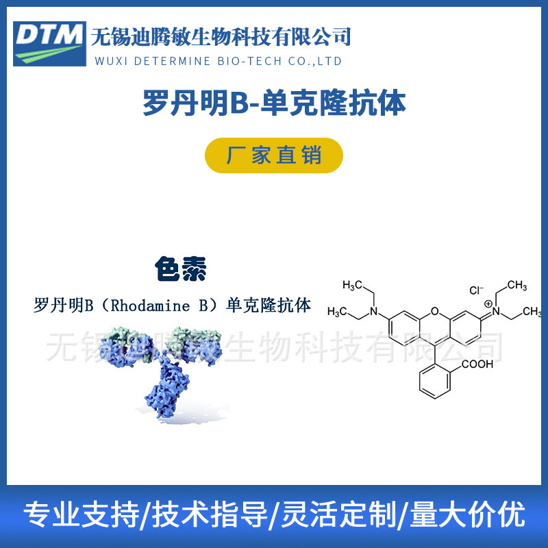 罗丹明B-单克隆抗体抗原多肽厂家供应