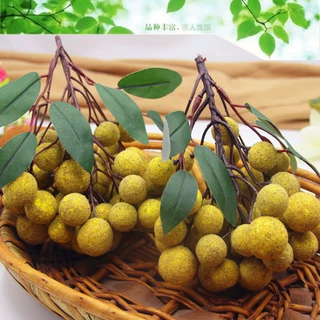 仿真龙眼桂圆串蔬菜水果串模型假水果荔枝橱柜商场水果店装饰摆设
